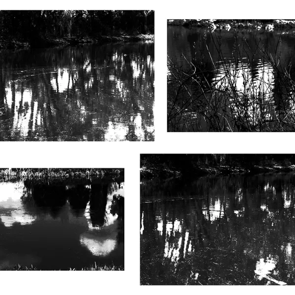 Light or Reflection 5, 2019 | inkjet photograph, 8x10", $20