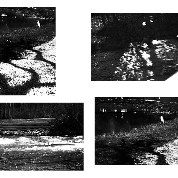 Maria Pang Light or Reflection 6, 2019 | inkjet photograph, 8x10", $20