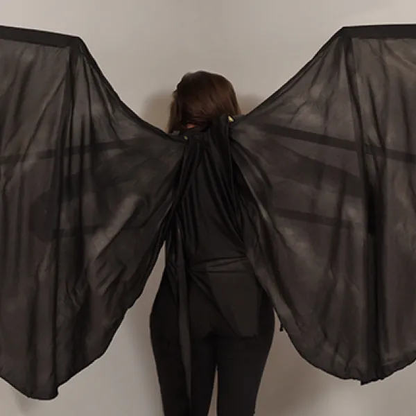 Veil, 2017 Teresa Widiger, fabric over wood armature, 6 x 12'
