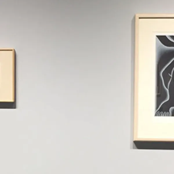 Creation of the World PP2 and The Crowning from Retrospective in a Box installation view