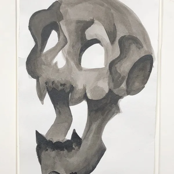 White Devil, 2017 Breanna Goudeau, India ink, 9.5 x 6.5"