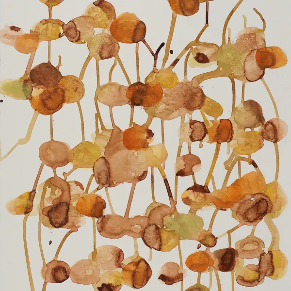 Blossomed, 2008, Bistre ink on paper, 30" x 22" painting of abstract flower buttons connected