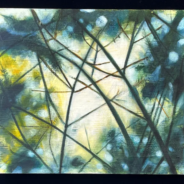 Pine, 2000, oil on wax on panel, 20" x 23" painting of branches facing the sky