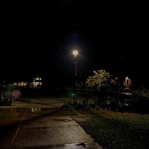 Allyson Buetow, 2023, Photography, 10 x 8