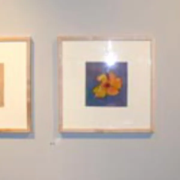 A series of framed floral art pieces by different artists using varied media.