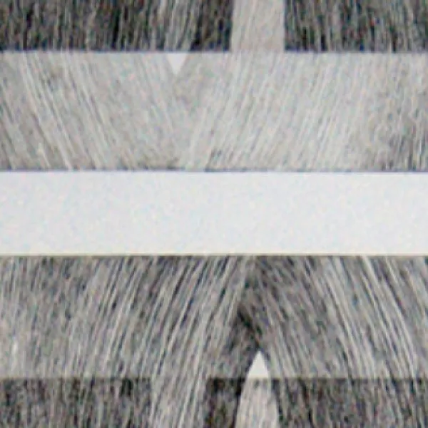 Fading (detail) by Jessica Machacek