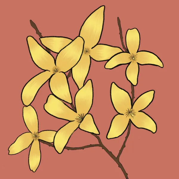 Jermya Sims, 2025,  Digital Illustration, 8x8