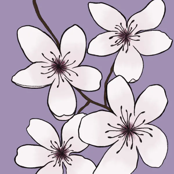 Cherry Blossom Jermya Sims, 2025, Digital Illustration, 8x8