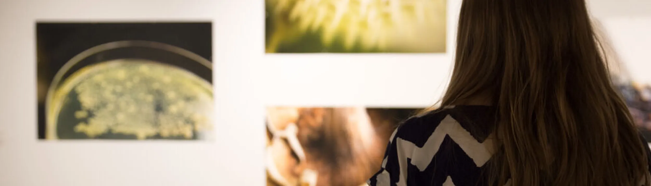 Student looking at art hung up on a white gallery wall