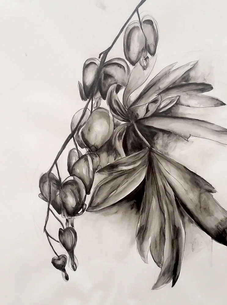 Bleeding Heart, 2015 water soluble graphite, 36 x 24"