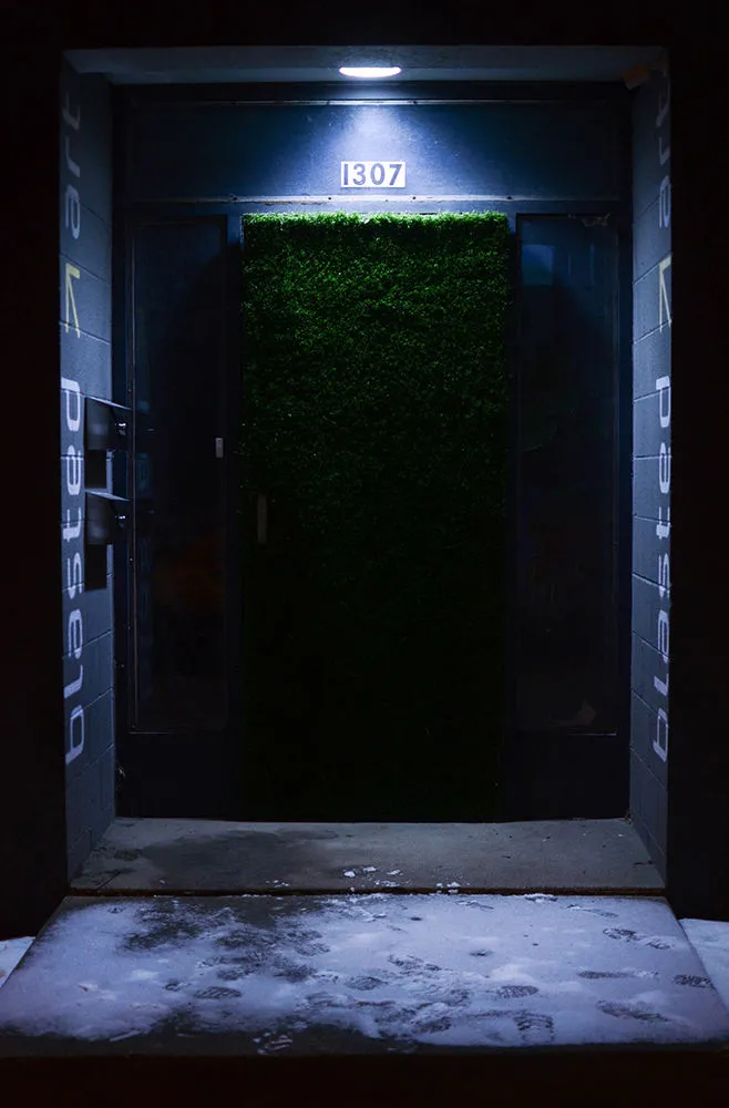 Door covered with lush green carpet (grass?) with a blue doorframe, set into walls of blue cinder blocks with the word "blasted" and arrows.